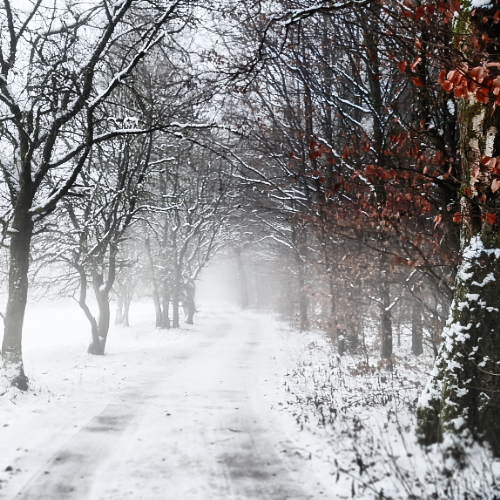 winterweg quad